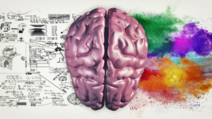 the brain vs the mind