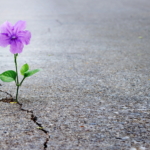 What is Post-Traumatic Growth